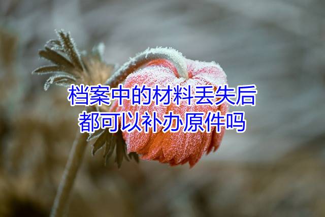 档案中的材料丢失后都可以补办原件吗
