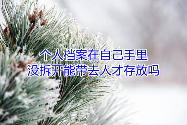 个人档案在自己手里没拆开能带去人才存放吗