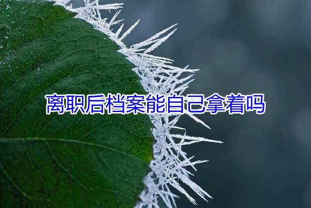 离职后档案能自己拿着吗