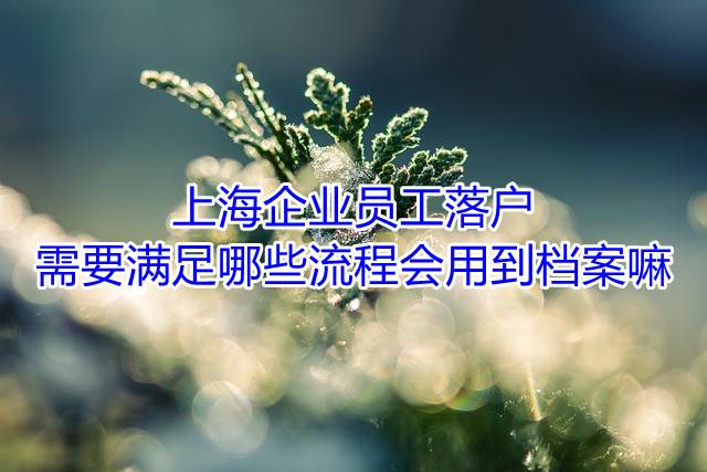 上海企业员工落户需要满足哪些流程，会用到档案嘛