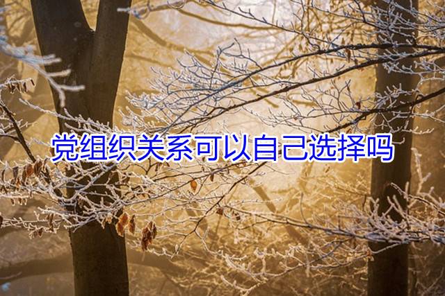 党组织关系可以自己选择吗