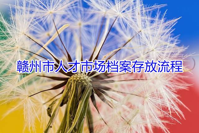 赣州市人才市场档案存放流程