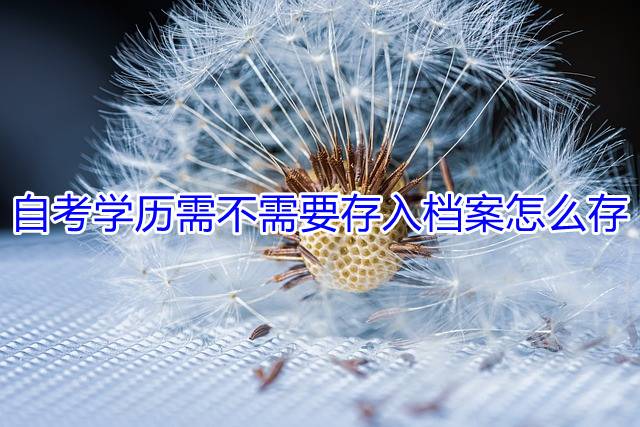 自考学历需不需要存入档案怎么存