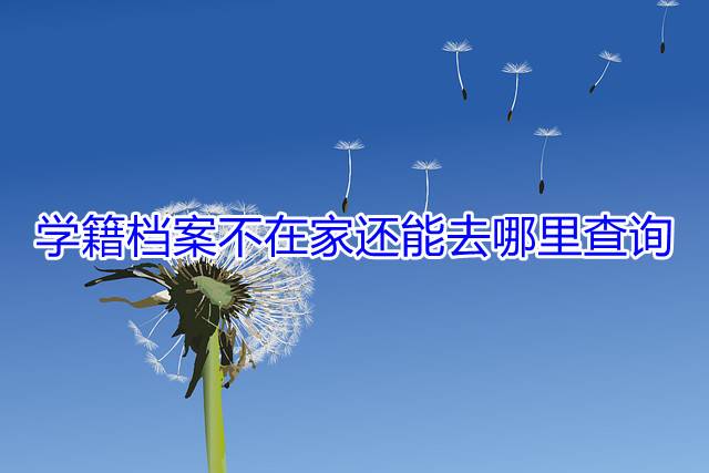 学籍档案不在家还能去哪里查询