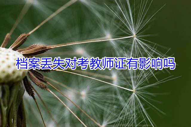 档案丢失对考教师证有影响吗