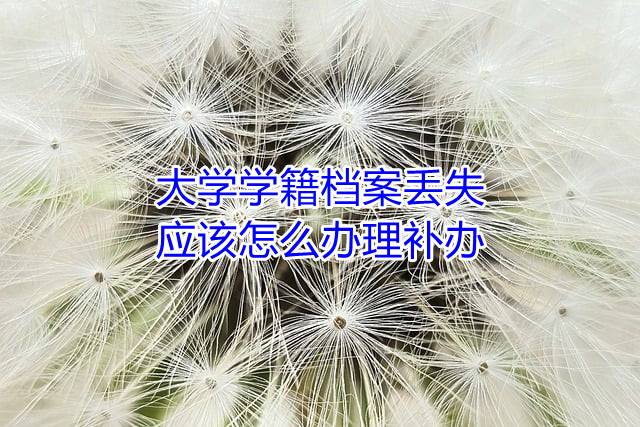 大学学籍档案丢失应该怎么办理补办