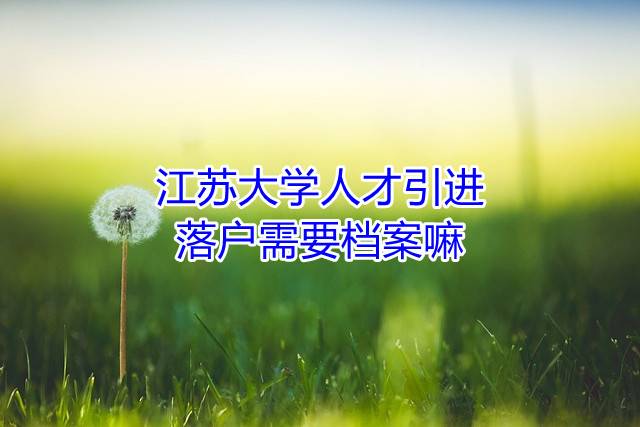 江苏大学人才引进落户需要档案嘛
