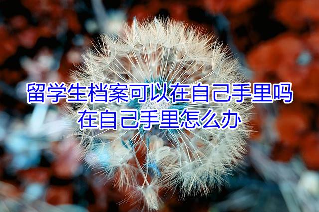 留学生档案可以在自己手里吗，在自己手里怎么办