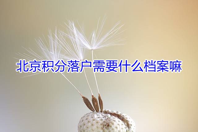 北京积分落户需要什么档案嘛