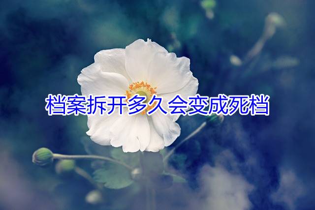 档案拆开多久会变成死档