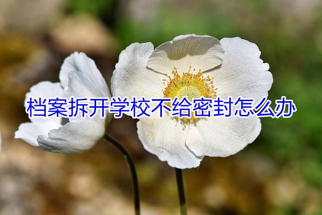 档案拆开学校不给密封怎么办