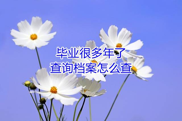 毕业很多年了，查询档案怎么查