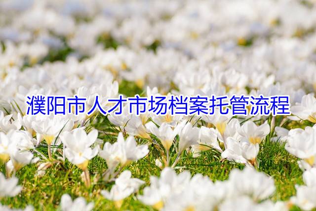 濮阳市人才市场档案托管流程