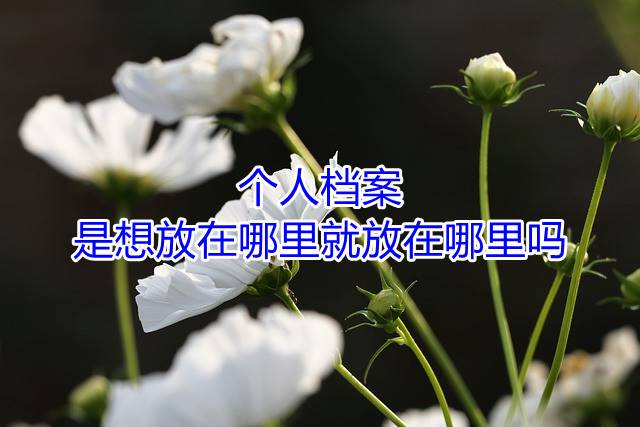 个人档案是想放在哪里就放在哪里吗