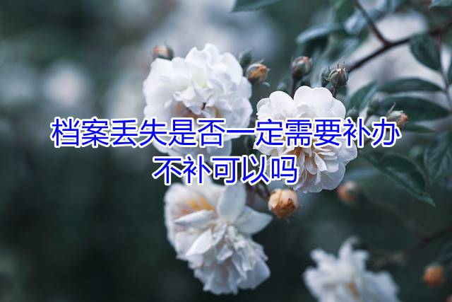 档案丢失是否一定需要补办，不补可以吗