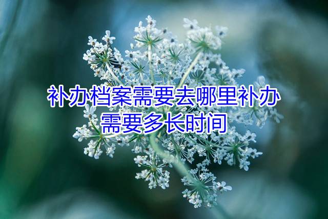补办档案需要去哪里补办，需要多长时间