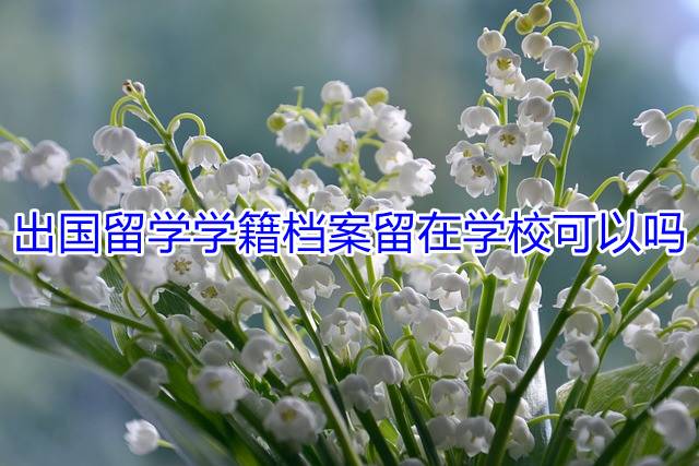 出国留学学籍档案留在学校可以吗