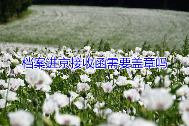 档案进京接收函需要盖章吗