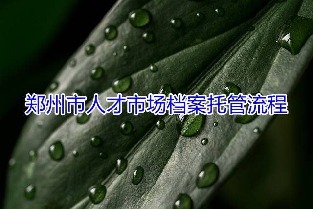 郑州市人才市场档案托管流程