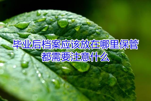毕业后档案应该放在哪里保管，都需要注意什么