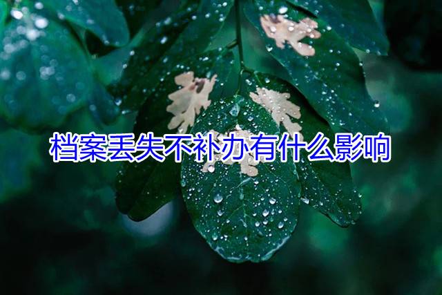档案丢失不补办有什么影响