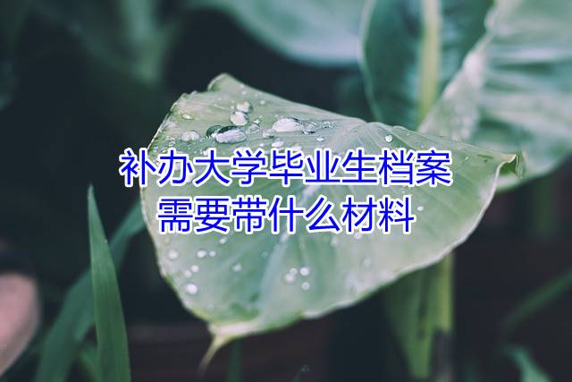 补办大学毕业生档案需要带什么材料