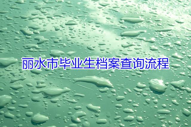 丽水市毕业生档案查询流程