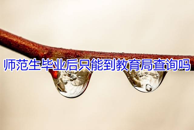 师范生毕业后只能到教育局查询吗