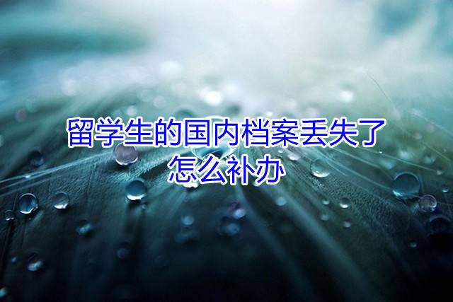 留学生的国内档案丢失了怎么补办