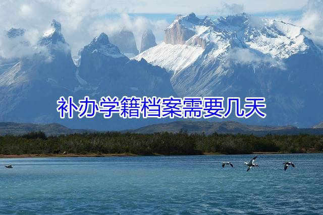 补办学籍档案需要几天