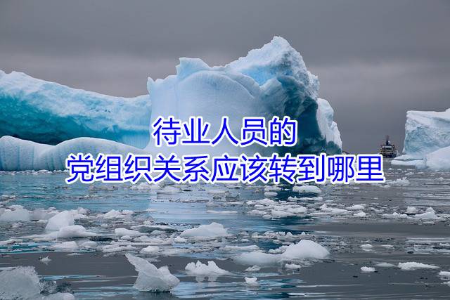 待业人员的党组织关系应该转到哪里