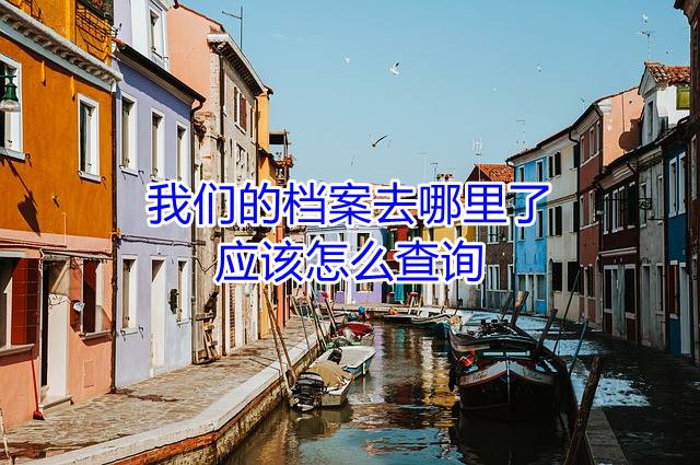 我们的档案去哪里了应该怎么查询