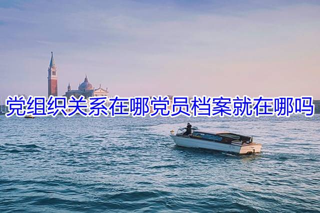 党组织关系在哪党员档案就在哪吗