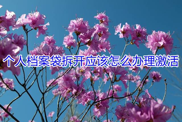 个人档案袋拆开应该怎么办理激活