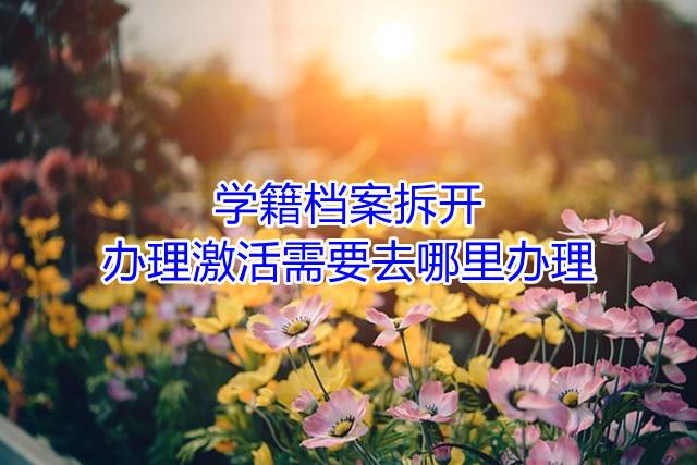 学籍档案拆开办理激活需要去哪里办理