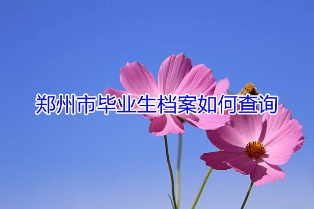 郑州市毕业生档案如何查询