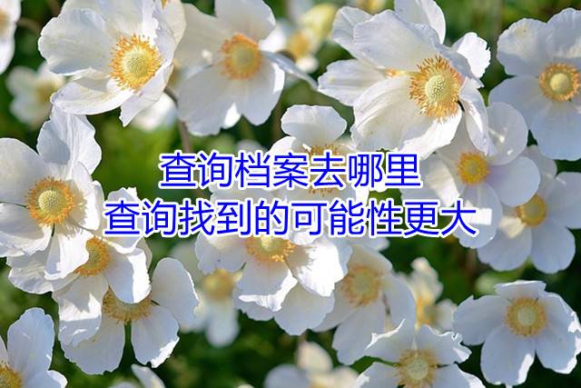 查询档案去哪里查询找到的可能性更大