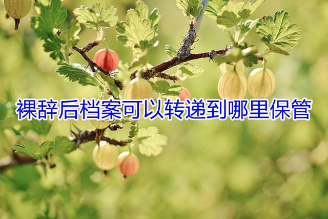 裸辞后档案可以转递到哪里保管