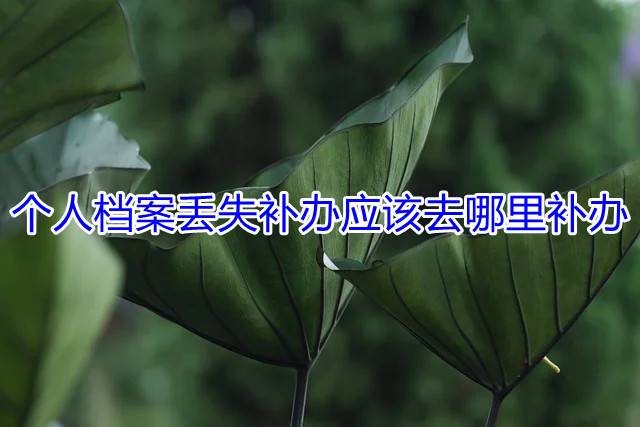 个人档案丢失补办应该去哪里补办