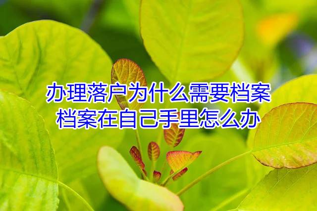 办理落户为什么需要档案，档案在自己手里怎么办
