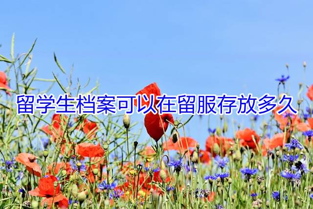留学生档案可以在留服存放多久