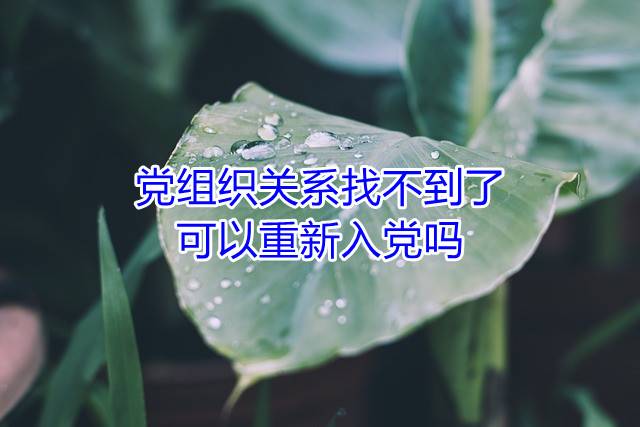 党组织关系找不到了可以重新入党吗