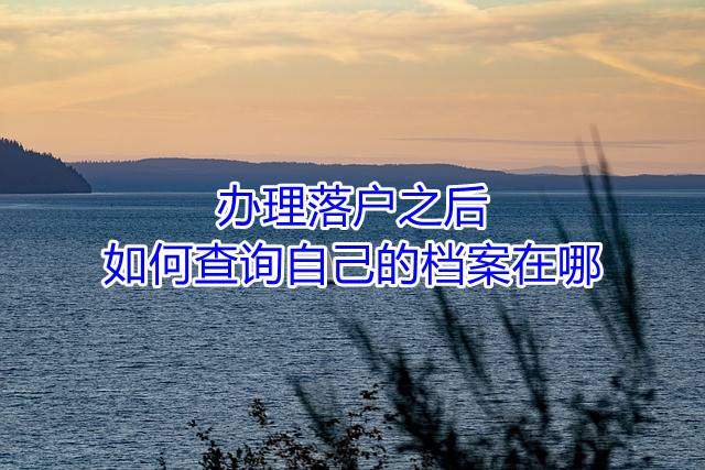 办理落户之后如何查询自己的档案在哪