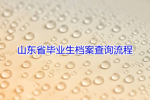 山东省毕业生档案查询流程