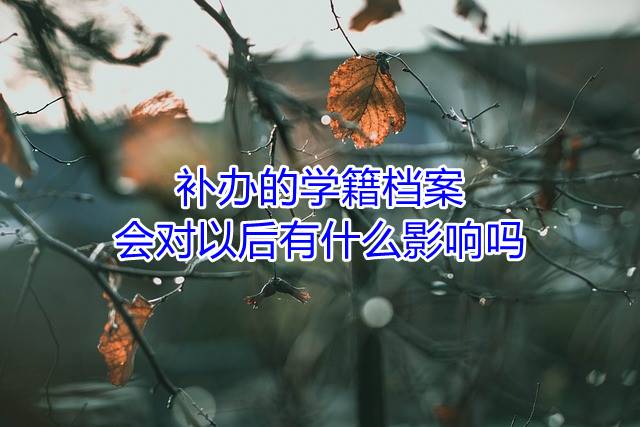 补办的学籍档案会对以后有什么影响吗