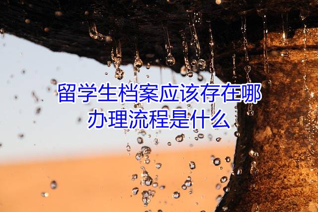 留学生档案应该存在哪，办理流程是什么