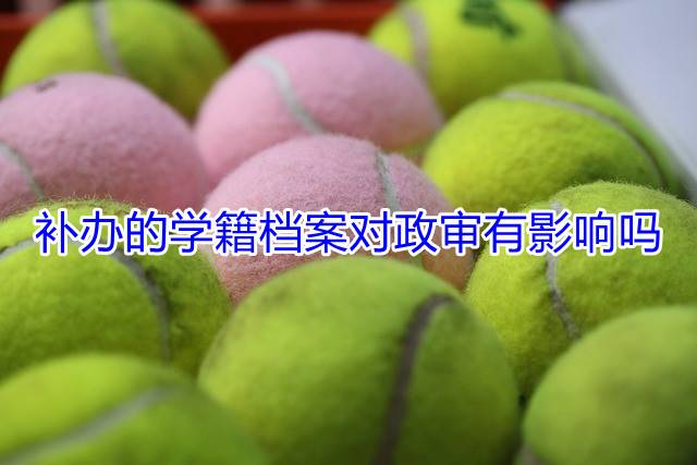 补办的学籍档案对政审有影响吗