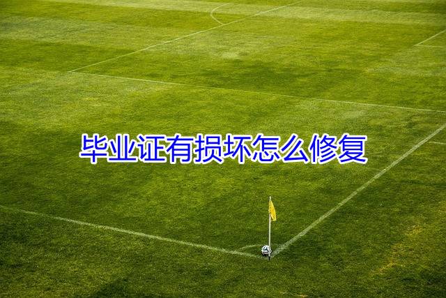 毕业证有损坏怎么修复