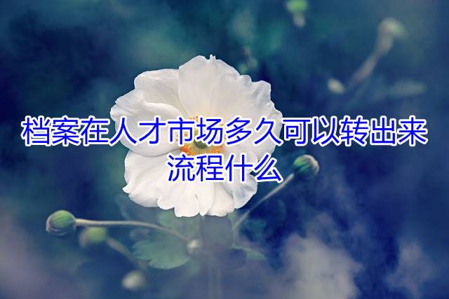 档案在人才市场多久可以转出来，流程什么