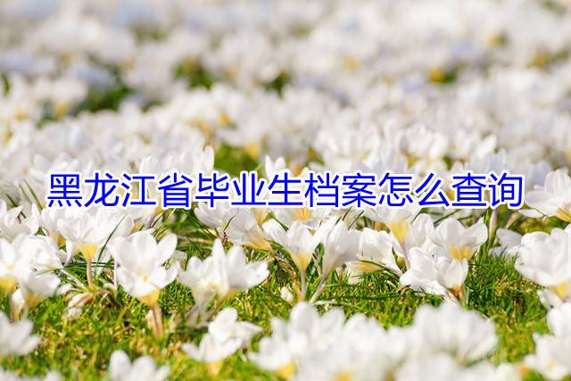 黑龙江省毕业生档案怎么查询
